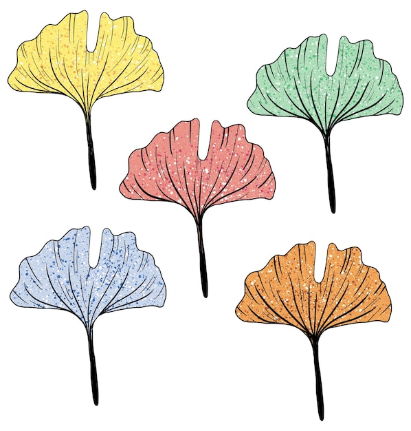 Photo gingko coloré feuilles illustration