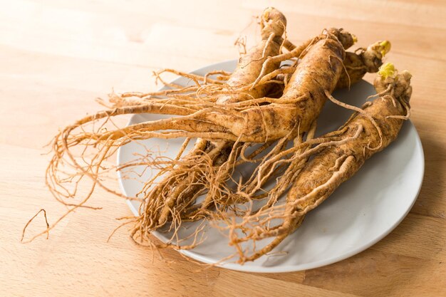 Photo ginseng de corée frais