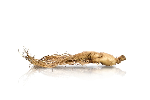 Photo ginseng coréen sur fond blanc