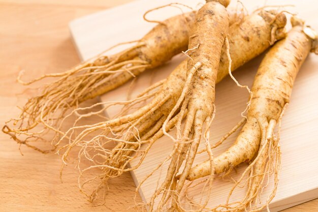 Photo ginseng coréen frais