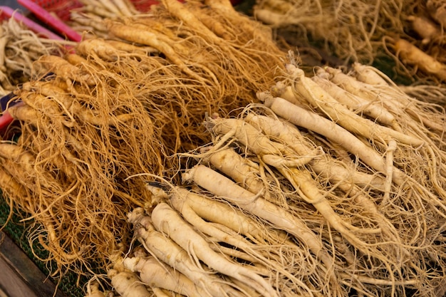 Ginseng frais sur le marché alimentaire