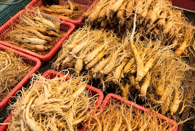 Photo ginseng sur le marché coréen