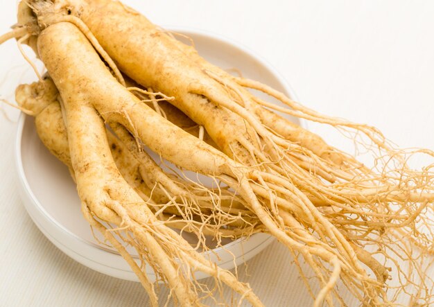 Photo ginseng