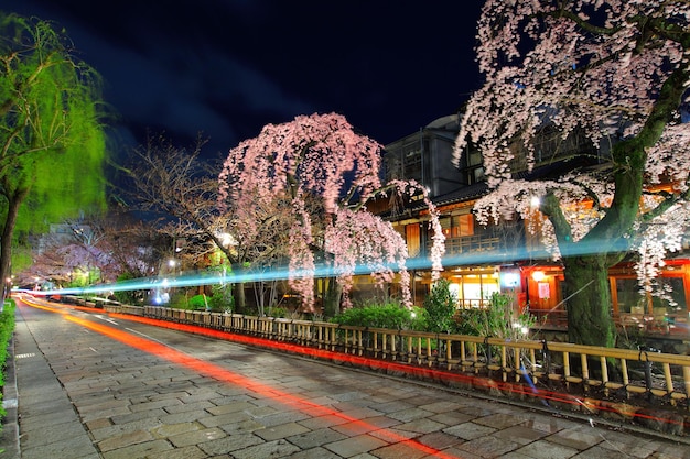 Gion à Kyoto avec sentier de circulation et sakura