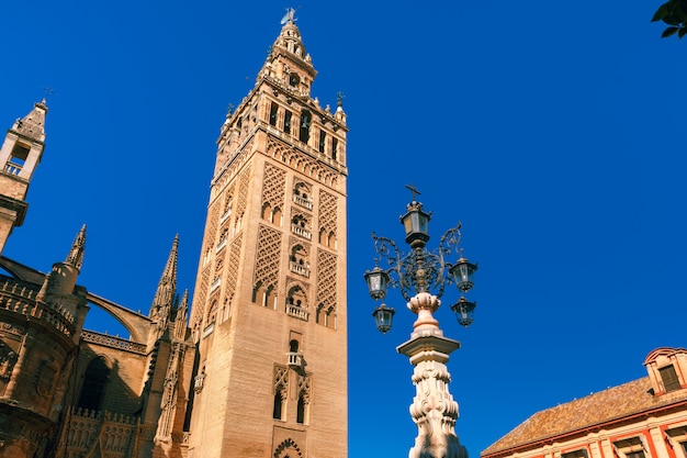 Photo giralda et cathédrale de séville le matin, espagne