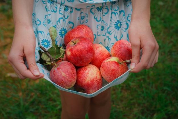 Girl holding pommes dans son ourlet