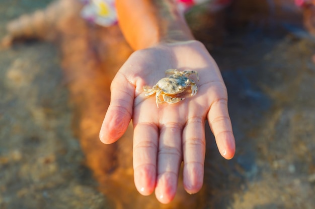 girl, tenue, crabe