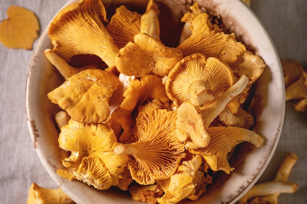 Girolles des bois