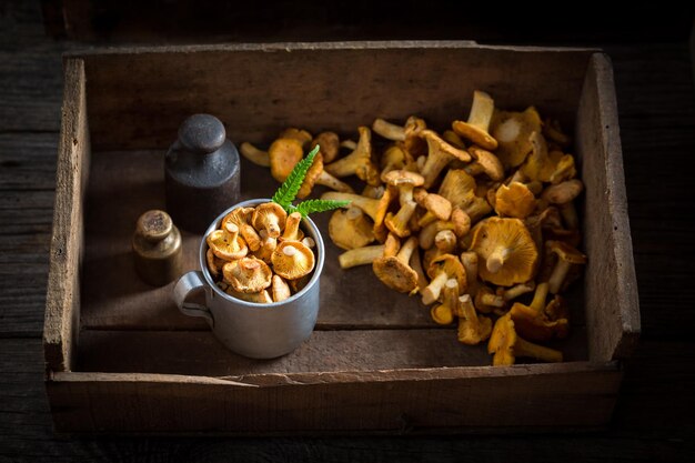 Girolles crues dans une vieille boîte en bois