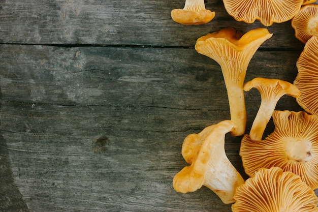 Girolles Fraîches Jaunes Sur Une Surface En Bois Grise.