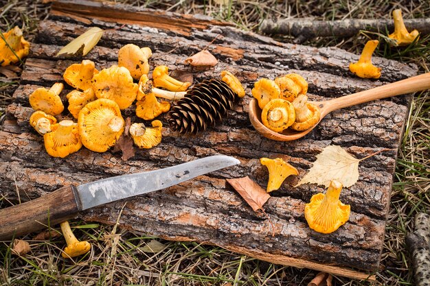 Girolles jaunes sur une surface en bois rustique.