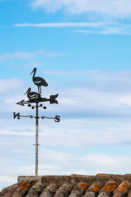 Photo girouette nord-sud typique avec des cigognes dans la ville de faro, portugal.