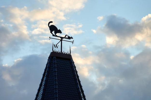 Girouette sur le toit de la maison en forme de chat attrapant la souris, fond de ciel bleu, espace de copie. Silhouette drôle de girouette en fer. Girouette avec les directions cardinales