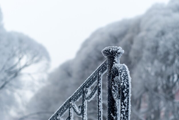 Givre sur la balustrade en métal dans le parc par temps froid sur fond d'arbres givrés