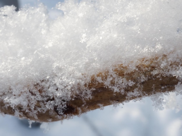 givre sur les branches des arbres