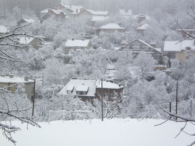 Photo le givre a couvert la première neige à l'extérieur du paysage de la banlieue. brumeux et glacial. prévisions météo début d'hiver