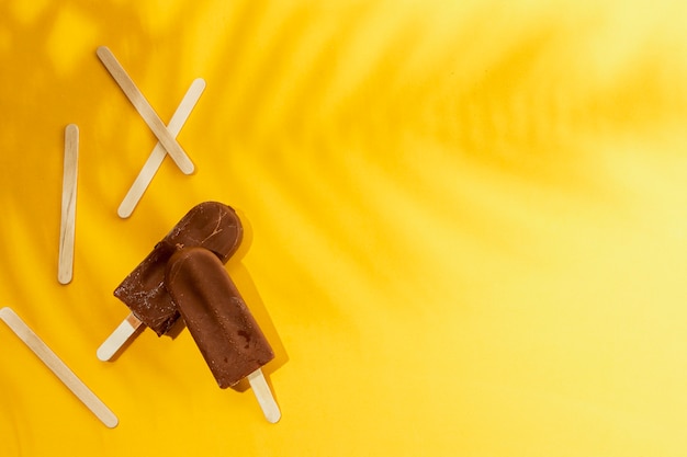 Photo glace au chocolat popsicle maison et ombre de feuilles