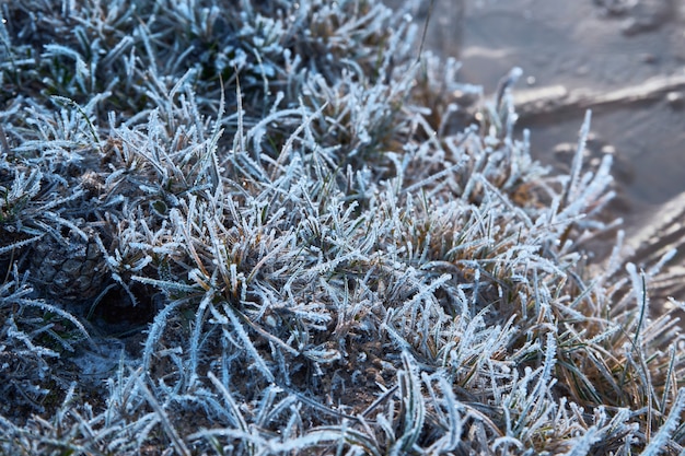 glace sur l'herbe