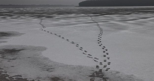 Photo glace sur le lac pendant les gelées