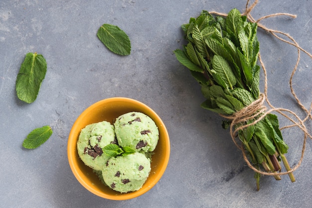 Glace à la menthe et aux pépites de chocolat