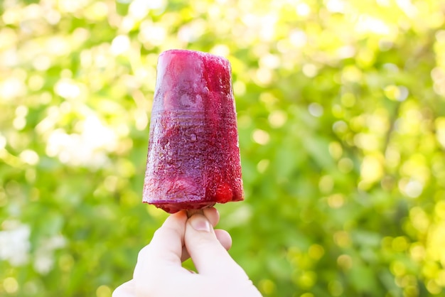 Glace popsicle aux fruits rouges sur bâton en bois