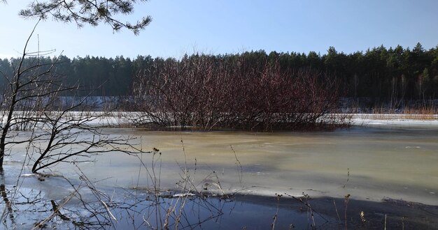 glace sur la rivière pendant les fortes gelées