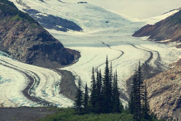 Glacier du saumon