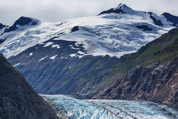 Glacier du saumon