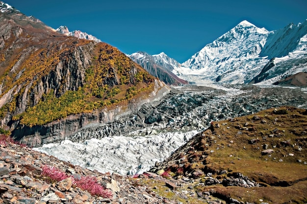 Glacier Minapin et vue sur la montagne Rakaposhi, Karakoram, Pakistan