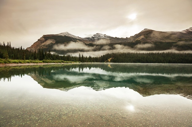 Glacier Park