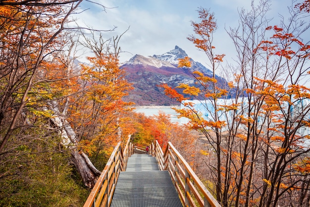 Le glacier Perito Moreno