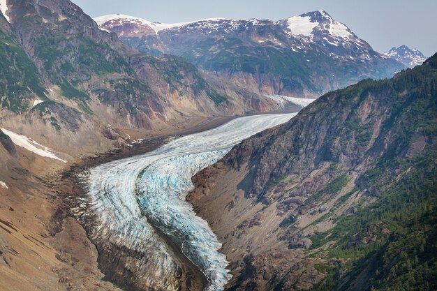 Glacier de saumon à Stewart, Canada