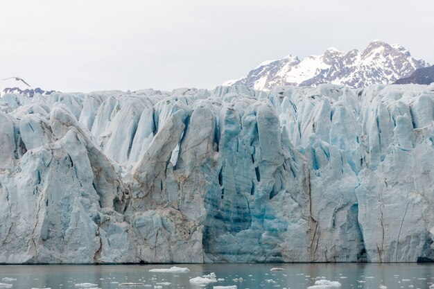 Glacier sur Svalbard, Arctique - vue depuis le navire d'expédition