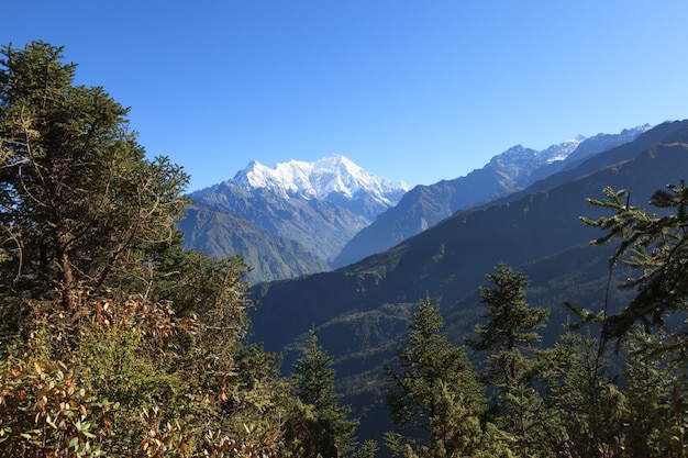 Glaciers blancs au sommet de la montagne Lantang Lirung