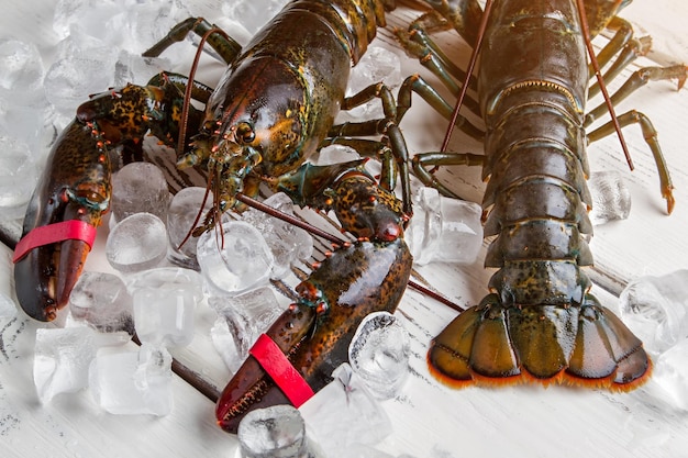 Des glaçons à côté des homards crus. Homards sur une surface en bois. Plat spécial de la carte. Fruits de mer riches en protéines.