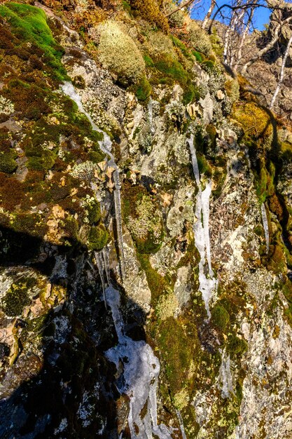 Glaçons du sud de l'Oural avec une végétation paysagère unique et une diversité de la nature