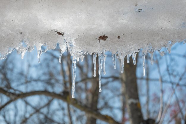 Photo des glaçons fondants sur le toit du jardin