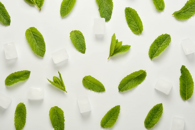 Glaçons à la menthe feuilles à plat poser, isolé sur blanc.