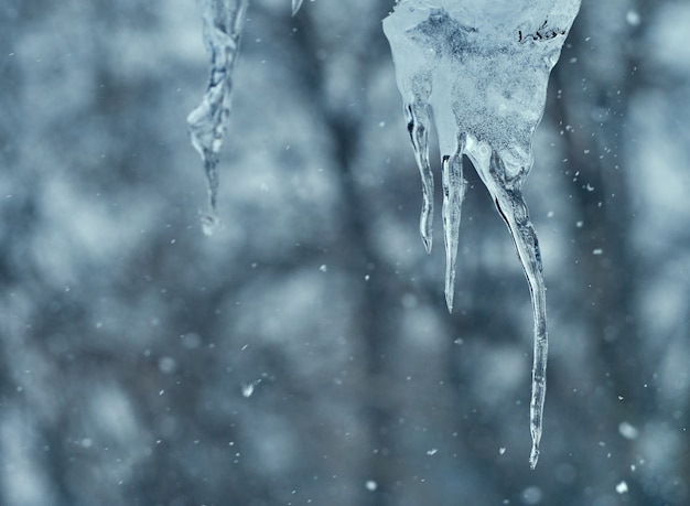 Glaçons transparents suspendus au toit en hiver