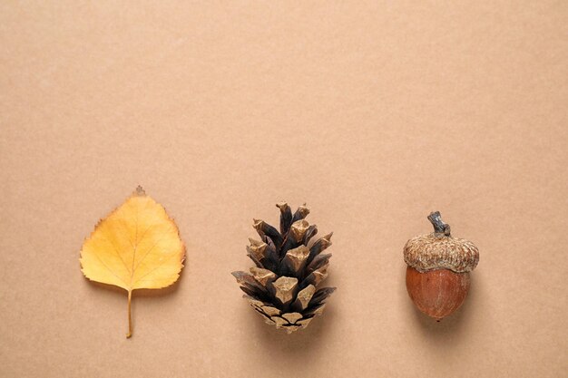 Photo gland de feuilles d'automne et cône de conifère sur fond beige à plat