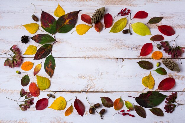 Glands d'automne, feuilles, cônes sur la table peinte en blanc