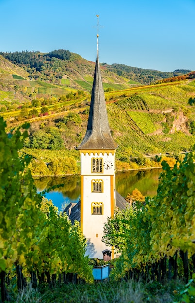 Église catholique Saint Lawrence vu à travers les vignes à Bremm en Rhénanie-Palatinat, Allemagne