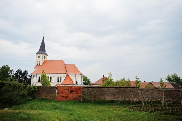 Église avec champs de vin en plein air à Vrbice République Tchèque