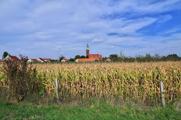 Église dans le petit village de Pologne