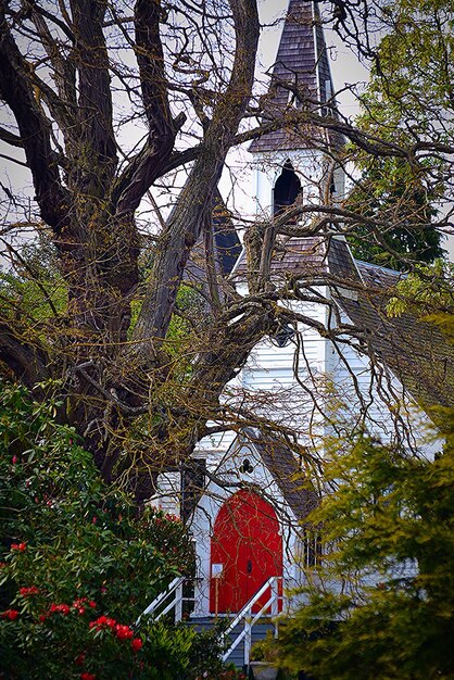 Église par les arbres dans la forêt