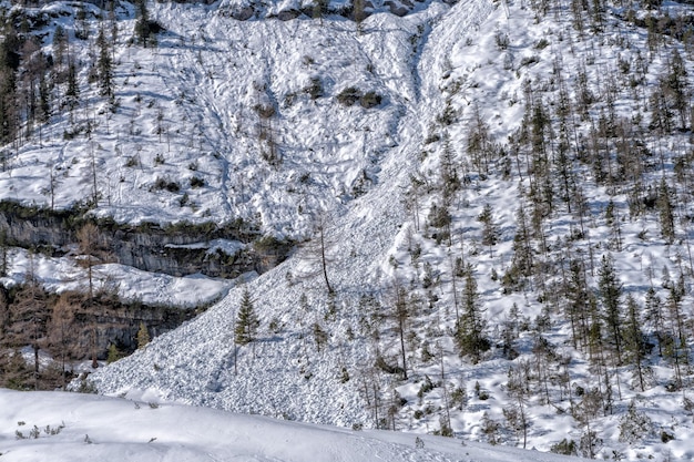 Glissade de neige d'avalanche dans les montagnes des dolomites