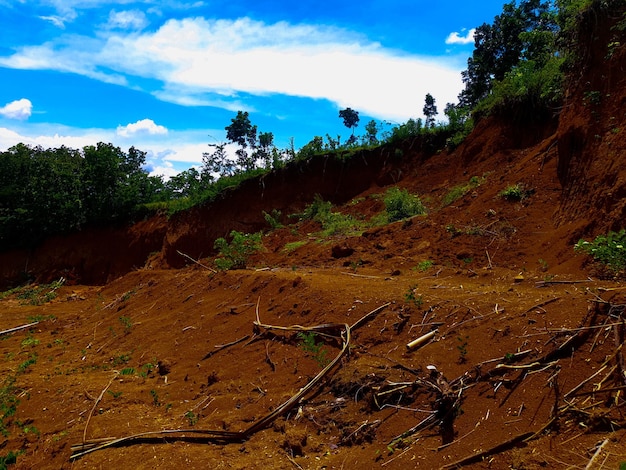 glissement de terrain sur la colline verte