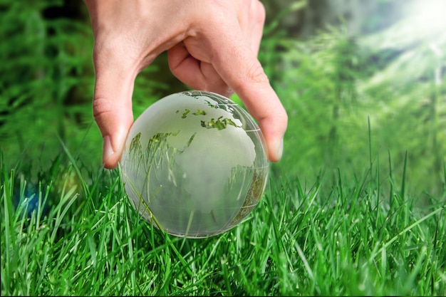 Globe dans la forêt verte. Notion de protection de l'environnement. Écologie. Concept de société durable