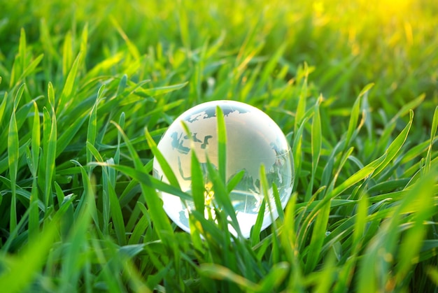 Globe dans l'herbe