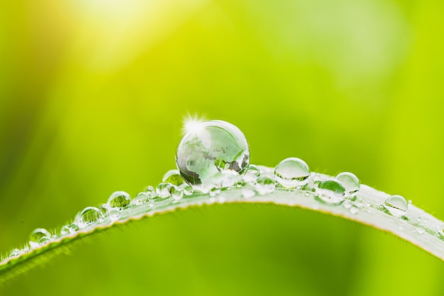 Globe et gouttes d'eau sur l'herbe avec un arrière-plan flou vert